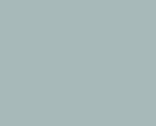 Load image into Gallery viewer, Boy Shorts
